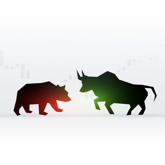 bear and bull